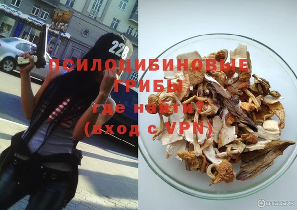 ALPHA PVP Аркадак