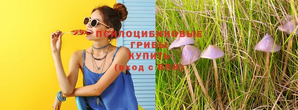 марки lsd Пестово