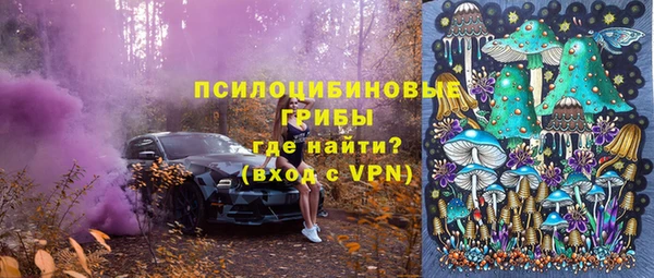 ALPHA PVP Аркадак