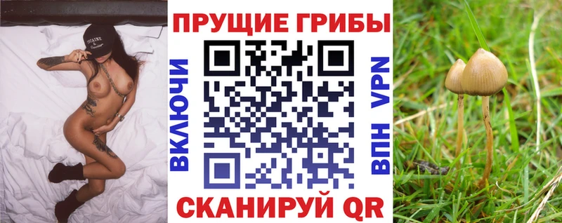 Галлюциногенные грибы мицелий  Великий Устюг 